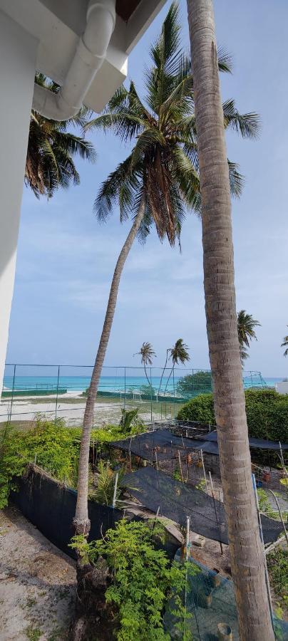 Cowry Inn Fulidhoo Exterior foto